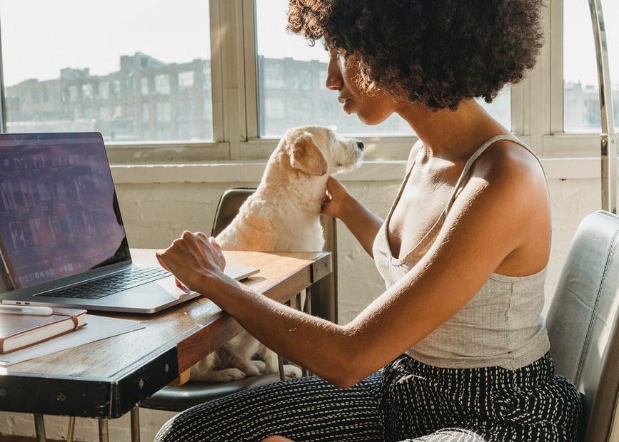 black female freelancer using computer with dog